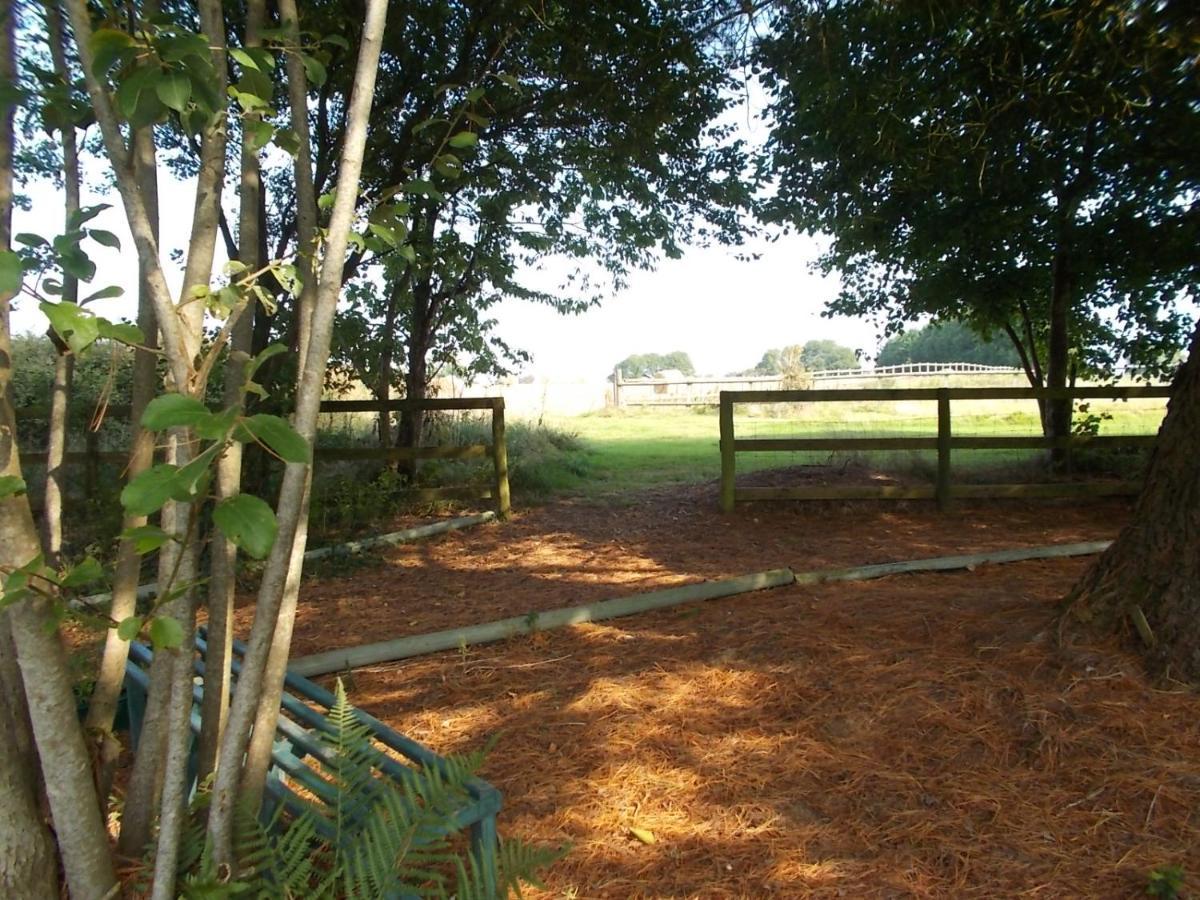 Tudor Lodge With Pool & Bbq Cabin Liskeard Esterno foto